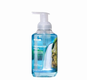 1 Pack - Foaming Hand Soap, Freshwater Falls, 11 fl oz Package May Vary