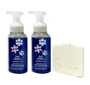 Bath & Body Works Just Chillin' Sparkling Icicles 2 Pack Gentle Foaming Hand Soap Bundle with a Natural Oats Sample Soap