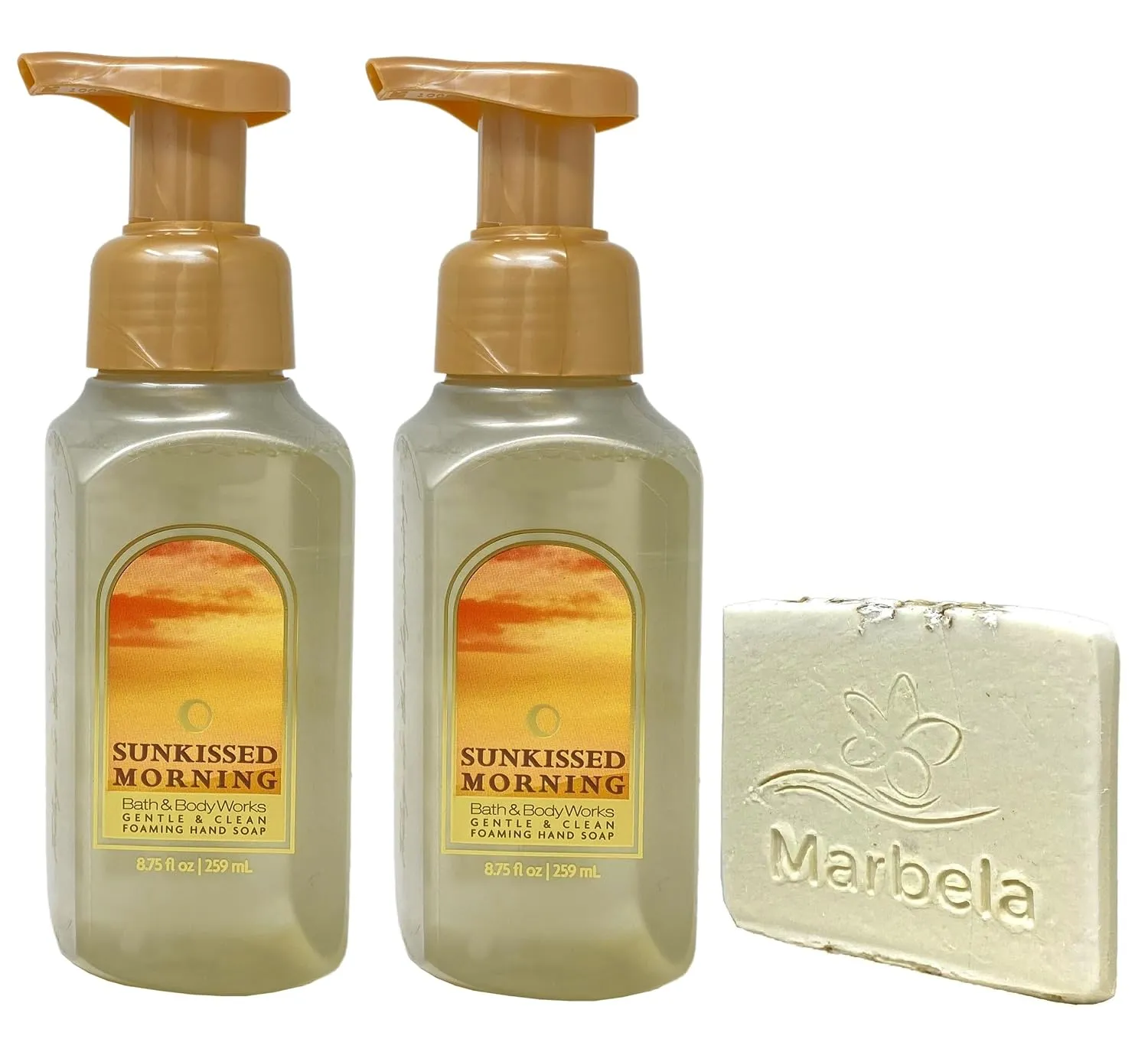 Bath & Body Works Sunkissed Morning 2 Pack Gentle & Clean Foaming Hand Soap Bundle with a Natural Oats Sample Soap