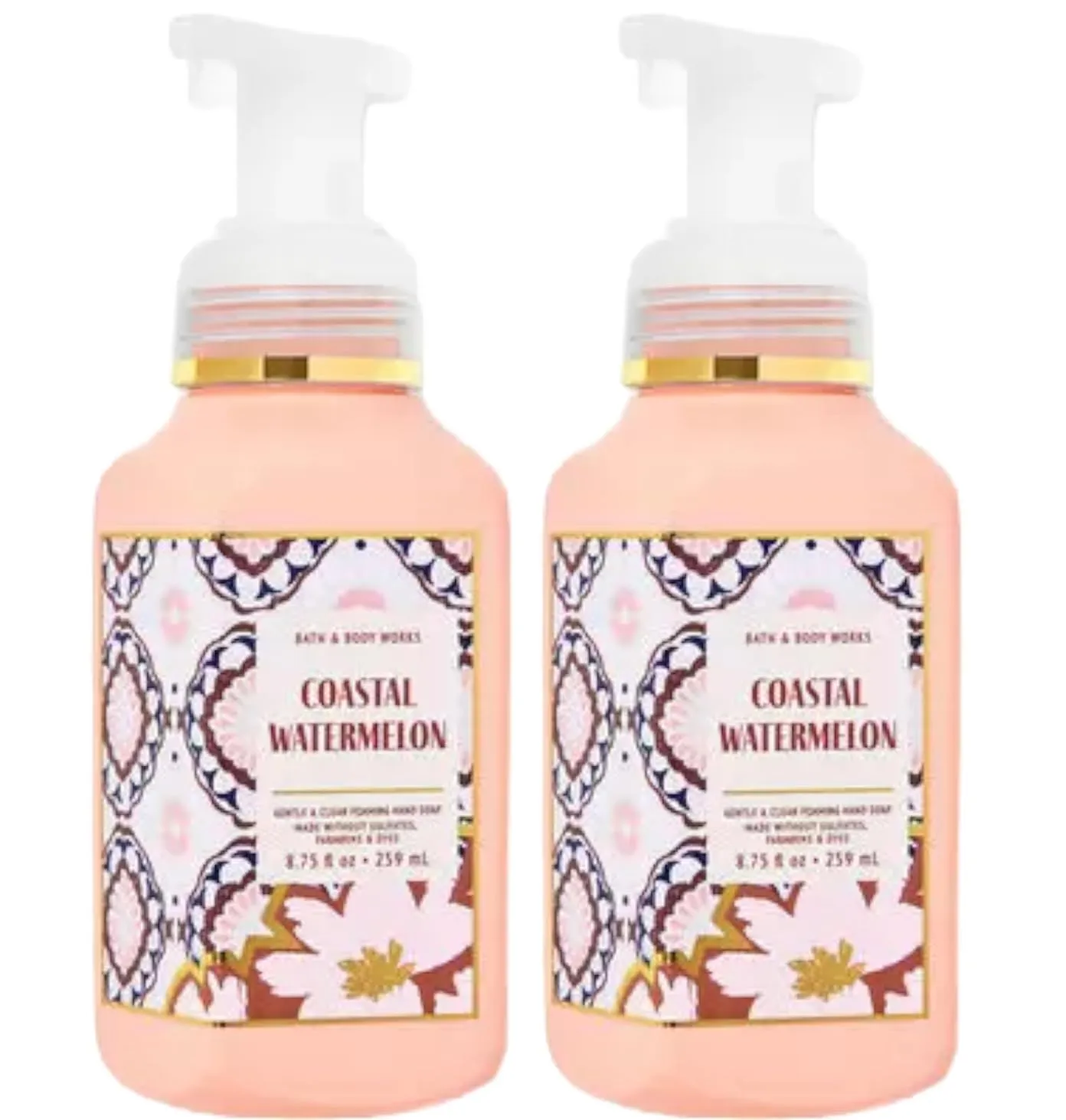 Bath and Body Works Gentle Foaming Hand Soap 8.75 Ounce 2-Pack (Coastal Watermelon)