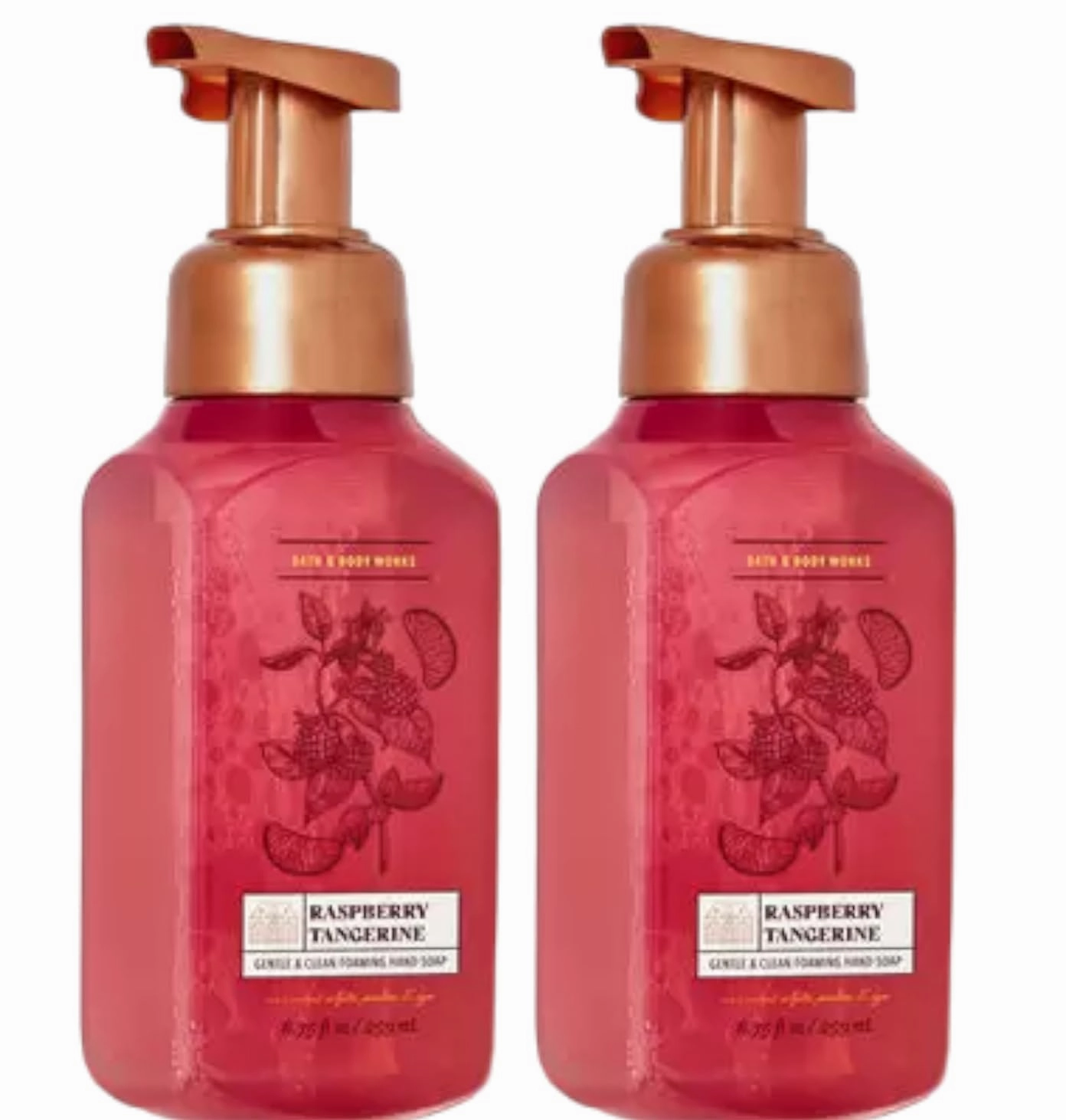 Bath & Body Works Bath and Body Works Gentle Foaming Hand Soap 8.75 Ounce 2-Pack (Raspberry Tangerine)