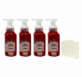 Bath & Body Works Frosted Cranberry 4 Pack Gentle Foaming Hand Soap Bundle with a Natural Oats Sample Soap