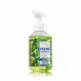 Bath & Body Works Gentle Foaming Hand Soap Fresh Melon Margarita