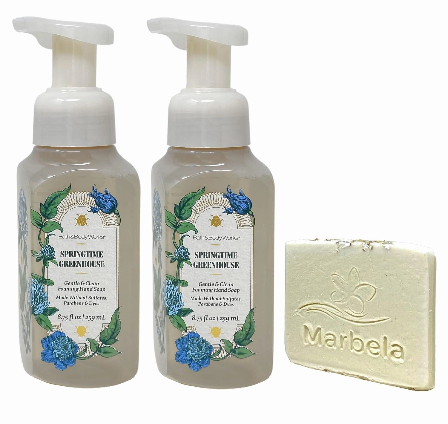 Bath & Body Works Springtime Greenhouse 2 Pack Gentle & Clean Foaming Hand Soap Bundle with a Natural Oats Sample Soap