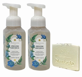 Bath & Body Works Springtime Greenhouse 2 Pack Gentle & Clean Foaming Hand Soap Bundle with a Natural Oats Sample Soap