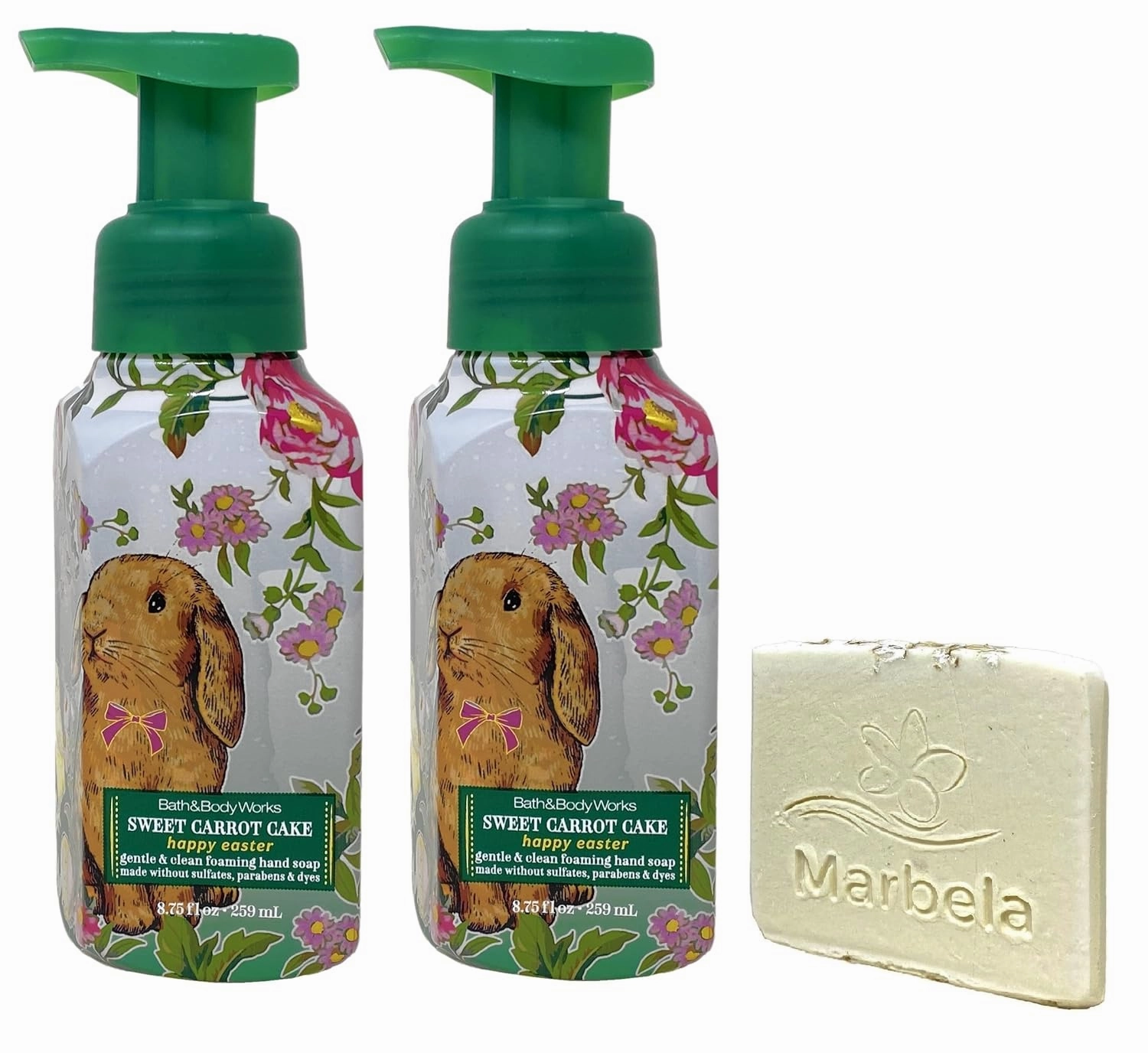 Bath & Body Works Sweet Carrot Cake 2 Pack Gentle & Clean Foaming Hand Soap Bundle with a Natural Oats Sample Soap