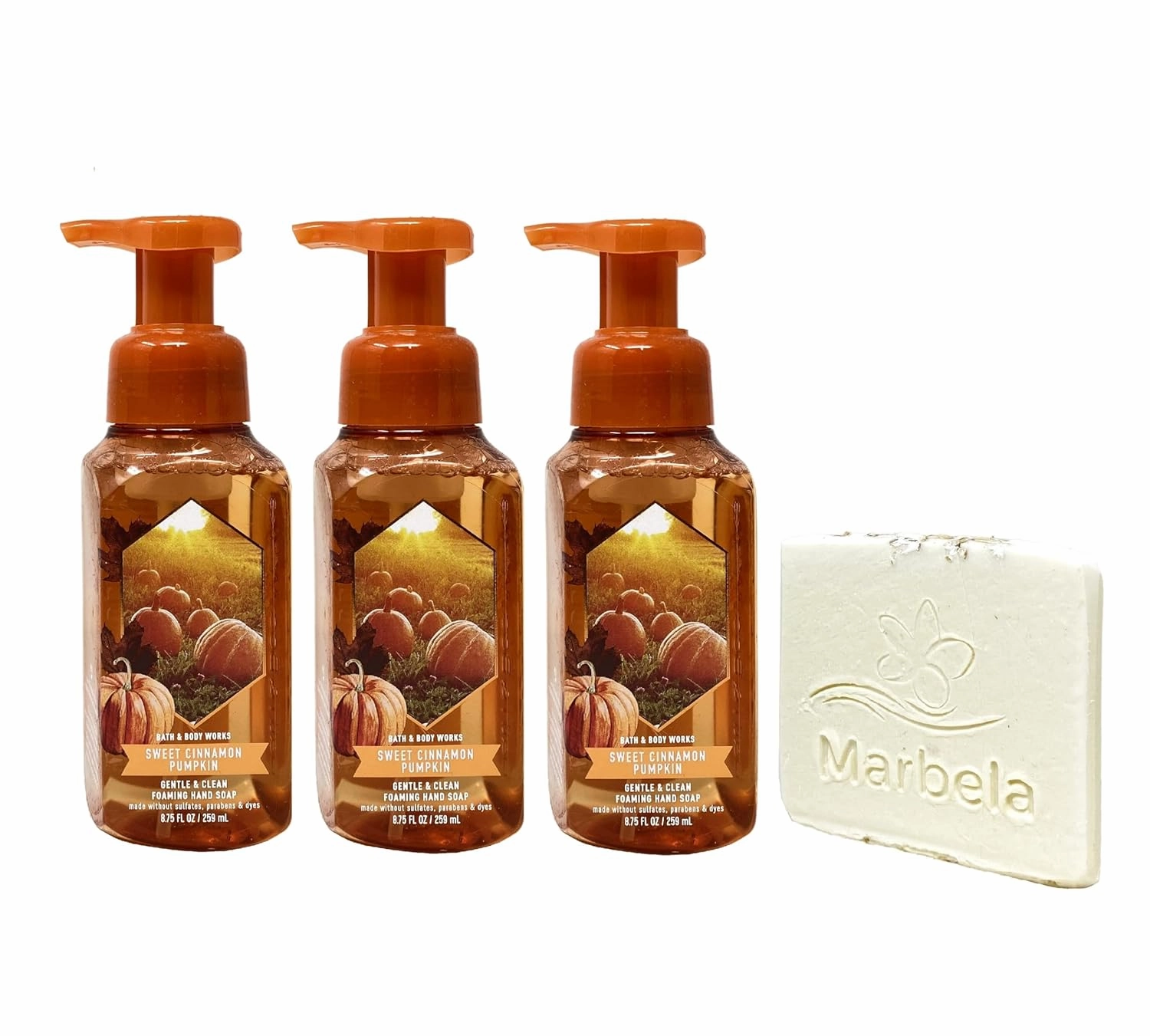 Bath & Body Works Sweet Cinnamon Pumpkin 3 Pack Gentle Foaming Hand Soap Bundle with a Natural Oats Sample Soap