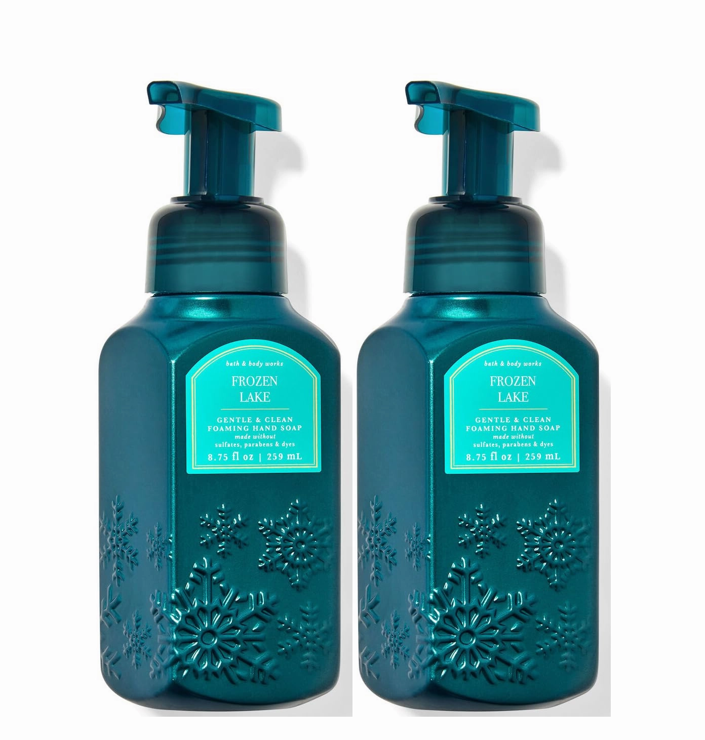 Bath and Body Works Gentle & Clean Foaming Hand Soap 8.75 Ounce 2-Pack (Frozen Lake)