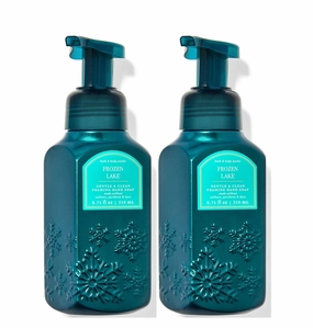Bath and Body Works Gentle & Clean Foaming Hand Soap 8.75 Ounce 2-Pack (Frozen Lake)