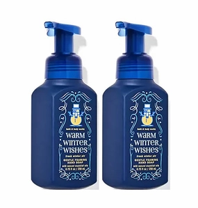 Bath and Body Works Gentle Foaming Hand Soap 8.75 Ounce 2-Pack (Fresh Winter Air)