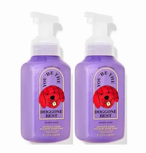 Bath and Body Works Gentle Foaming Hand Soap 8.75 Ounce 2-Pack (Rainbow Cereal)