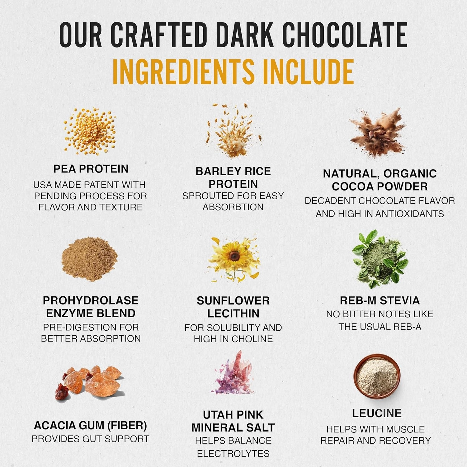 Dark Chocolate Plant-Based Protein Powder for Women & Men, Easy to Digest 30g of Smooth & Creamy Dark Chocolate Protein Powder Supports Overall Well-Being, Small Batch, 15 Servings