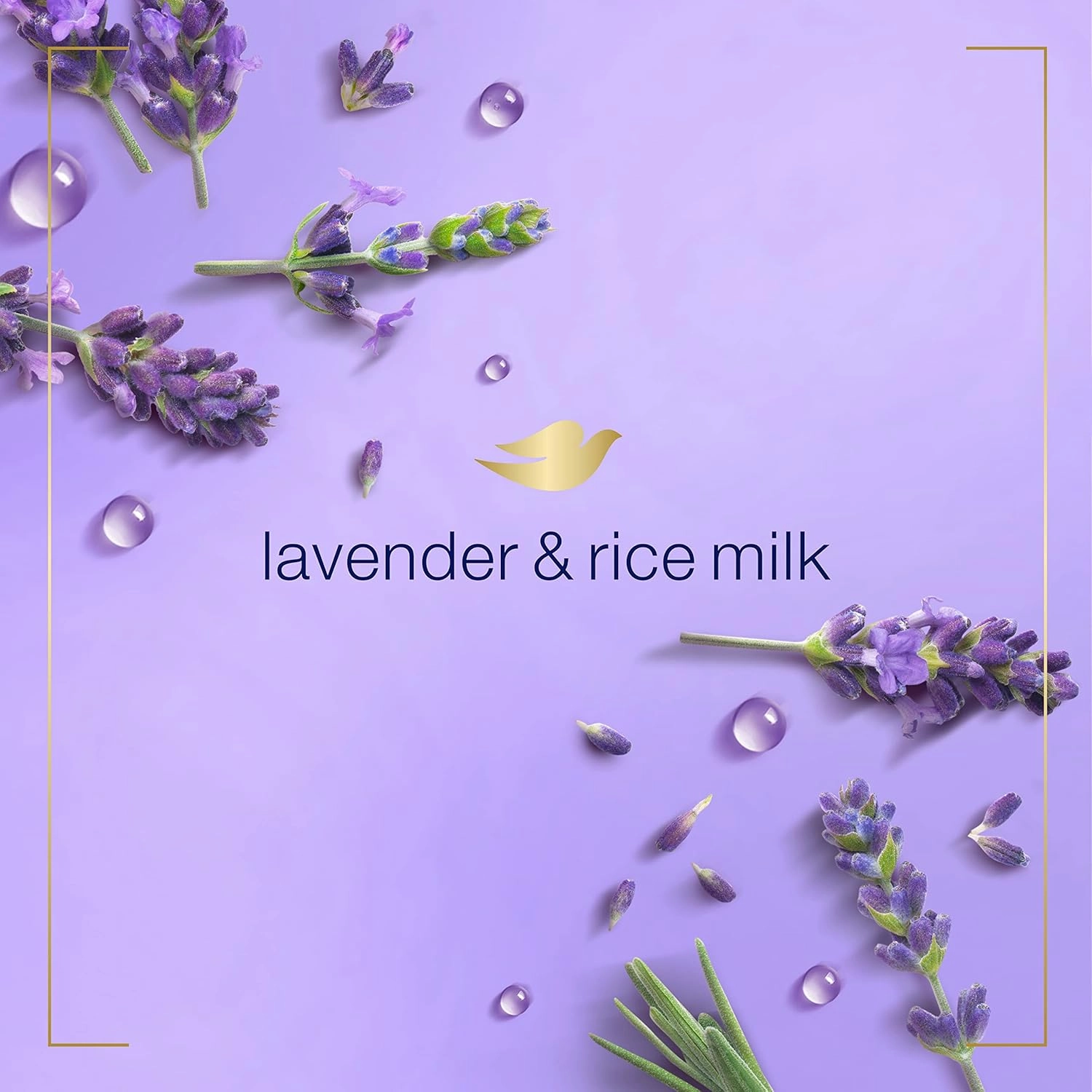 Dove Lavender & Rice Milk Protects Skin from Dryness, Foaming Hand Wash More Moisturizers than the Leading Ordinary Hand Soap, 10.1 oz (Pack of 4)