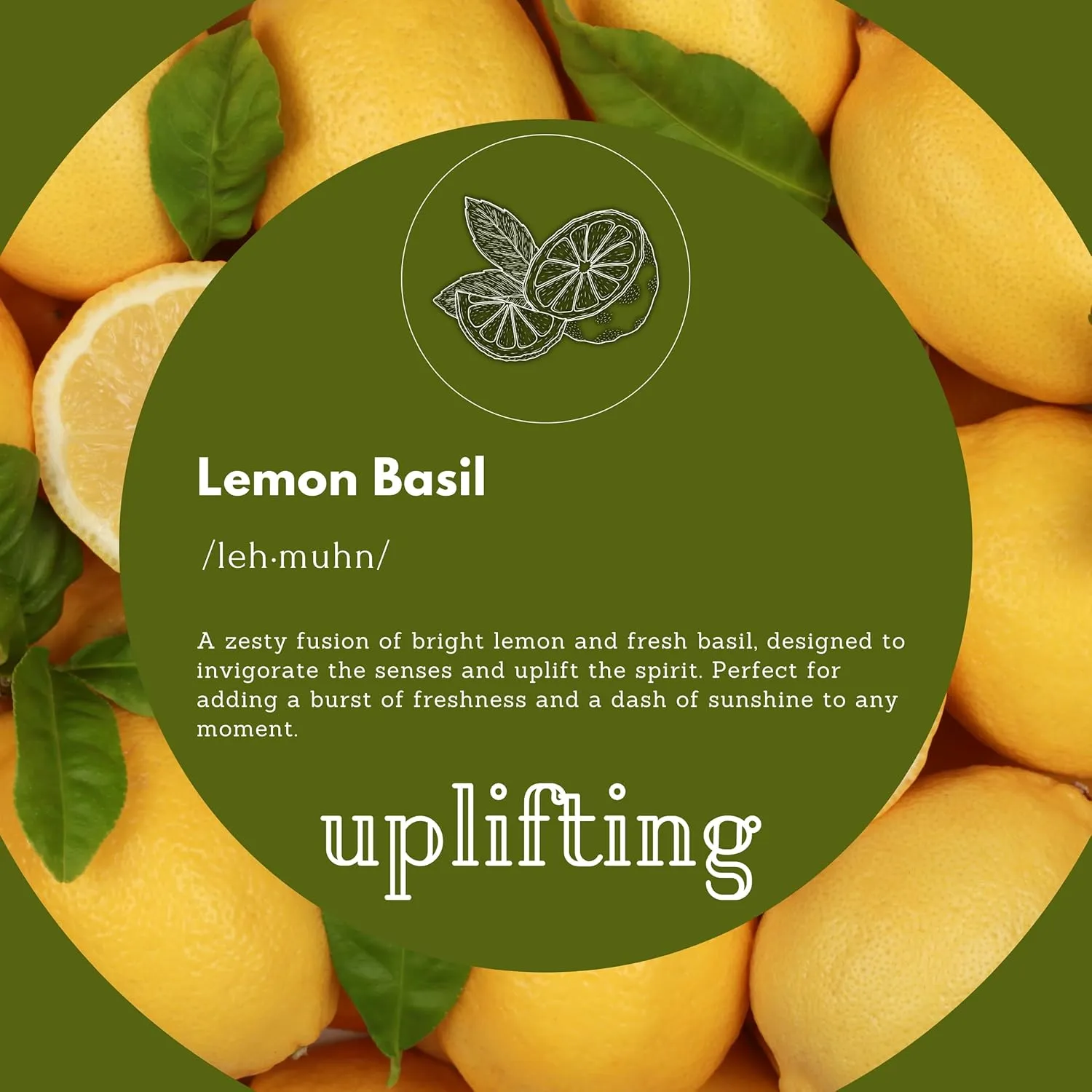 Foaming Hand Soap Refills | Lemon Basil | All-Natural | Gentle, Moisturizing | Made in USA | 128 Fl Oz (1 Gallon)
