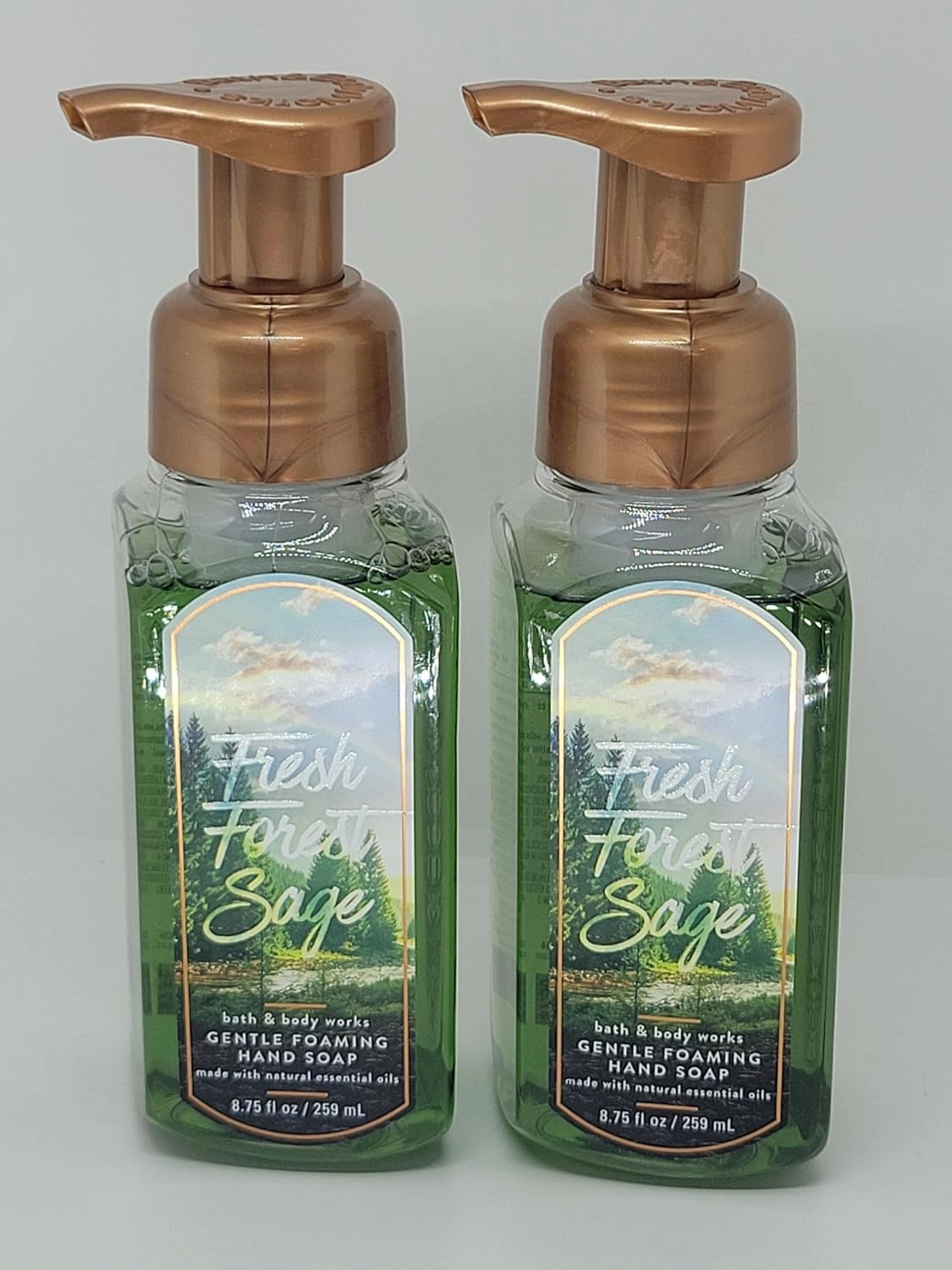 Fresh Forest Sage Gentle Foaming Hand Soap - 8.75oz - Set of 2