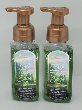 Fresh Forest Sage Gentle Foaming Hand Soap - 8.75oz - Set of 2