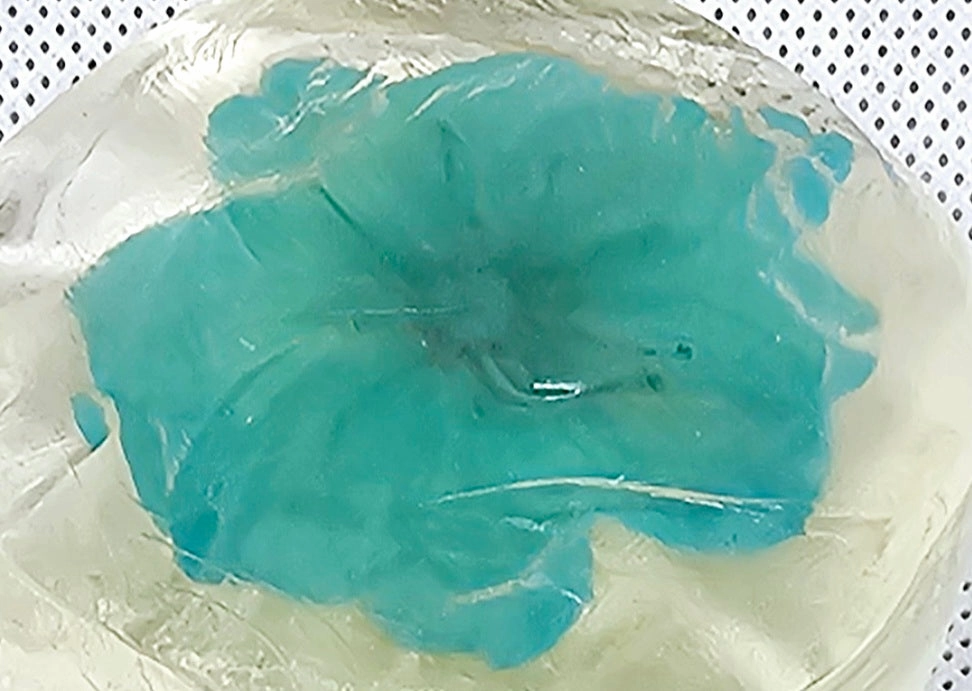 Gentle Amino Acid Soap - Hydrated, Healthy Skin