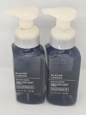 Glacier Lagoon Gentle Foaming Hand Soap - 8.75oz - Set of 2