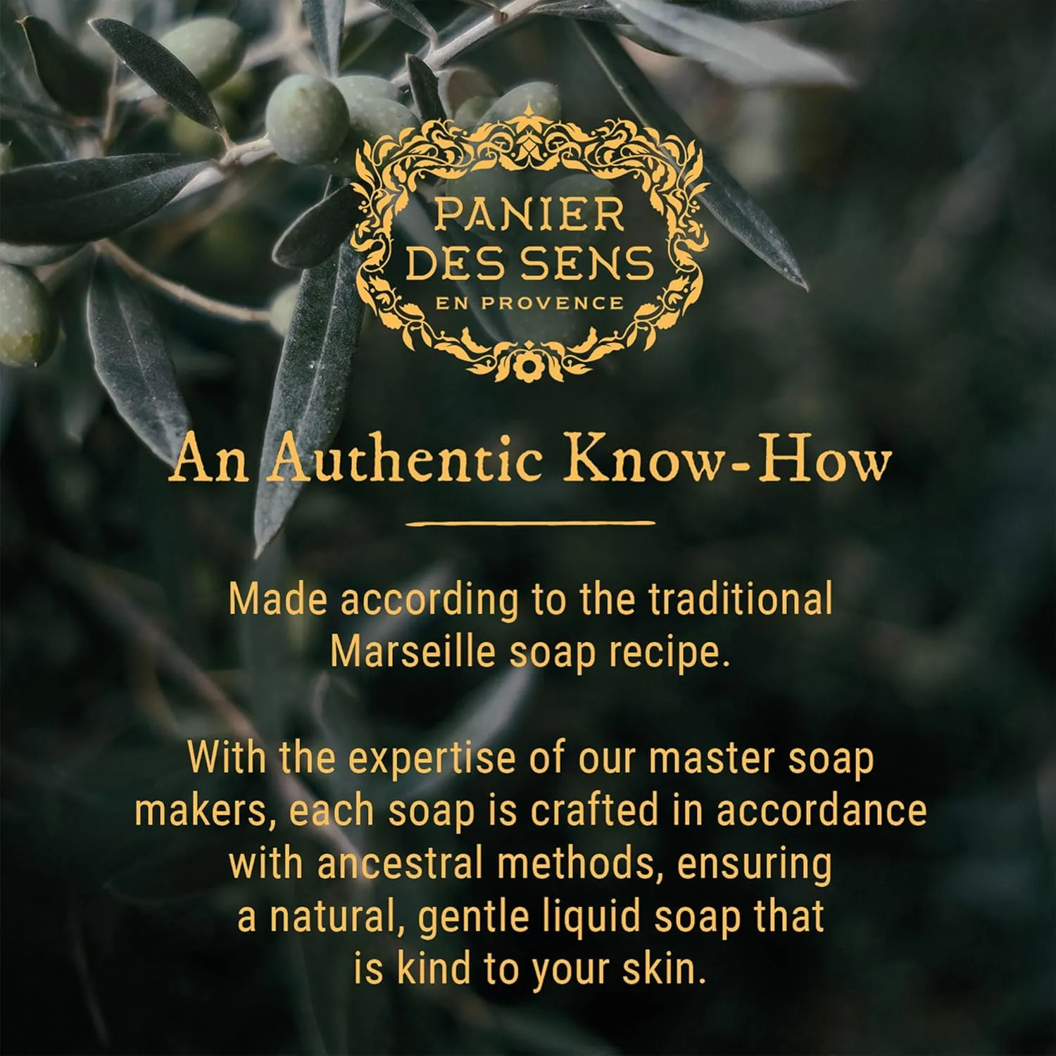 Panier des Sens - Liquid Hand Soap – Honey Exfoliating Hand Wash - French Marseille Moisturizing Soap with Coconut Oil - Refillable Kitchen & Bathroom Hand Soap - 97% Natural Ingredients -16.9 Fl.oz