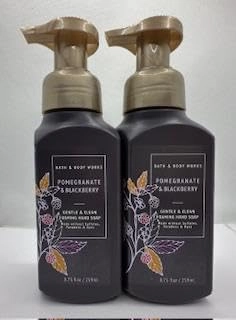 Set of 2 Pomegranate & Blackberry Gentle & Clean Foaming Hand Soap 8.75 Ounce, Purple