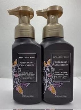 Set of 2 Pomegranate & Blackberry Gentle & Clean Foaming Hand Soap 8.75 Ounce, Purple