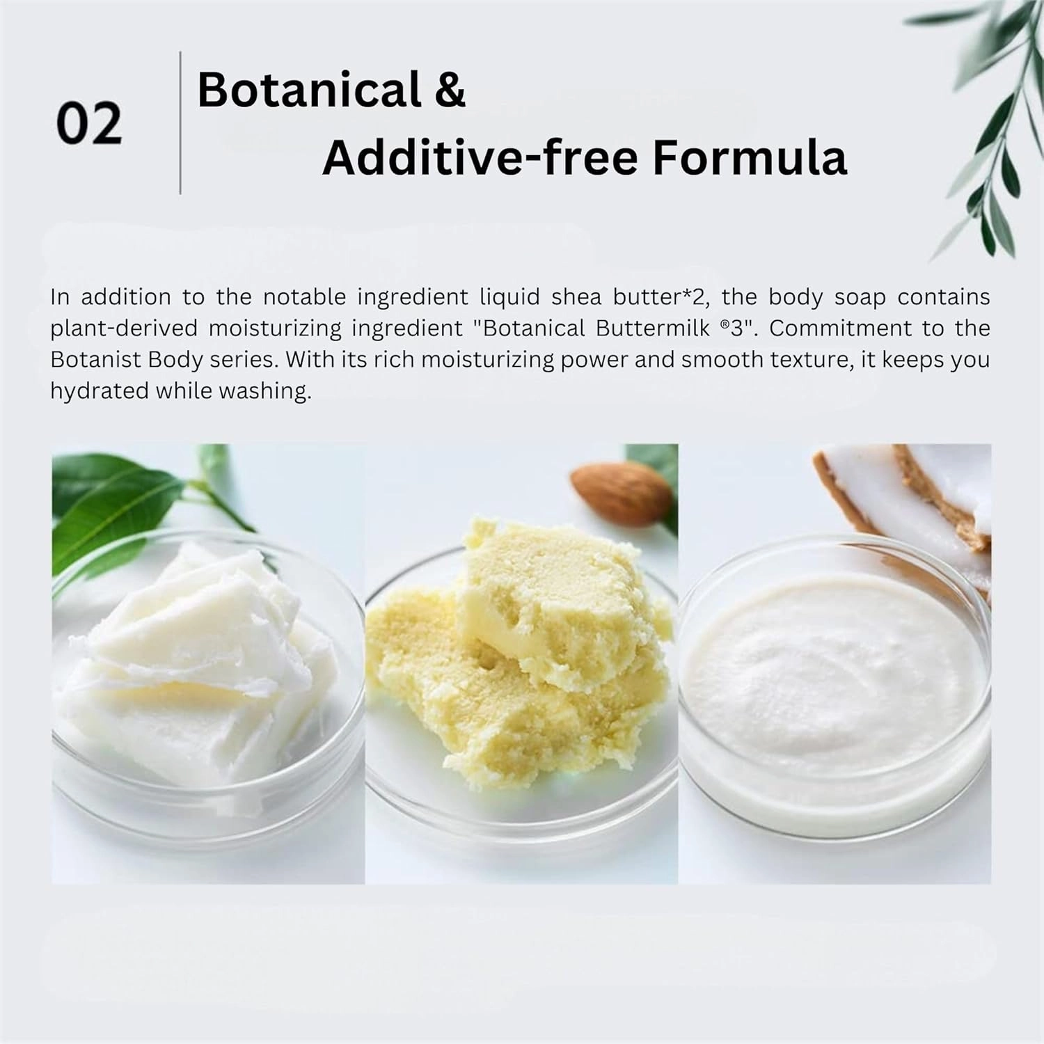 Shea Butter Body Wash Foaming for Women & Men, Organic Liquid Soap for Sensitive & Dry Skin with Botanical Buttermilk™ from Japan, Sulfate & Paraben Free, Water Lily & Raspberryh, 15.2 Fl Oz