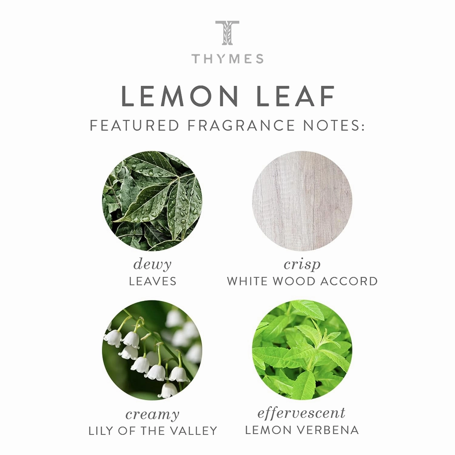 Thymes Hand Wash - Moisturizing Hand Soap Dispenser with Pump - Skin Care - Hydrating Liquid Soap Scented with Notes of Dewy Leaves, Lily of the Valley, Lemon Verbena, & Bergamot (Lemon Leaf, 9 fl oz)