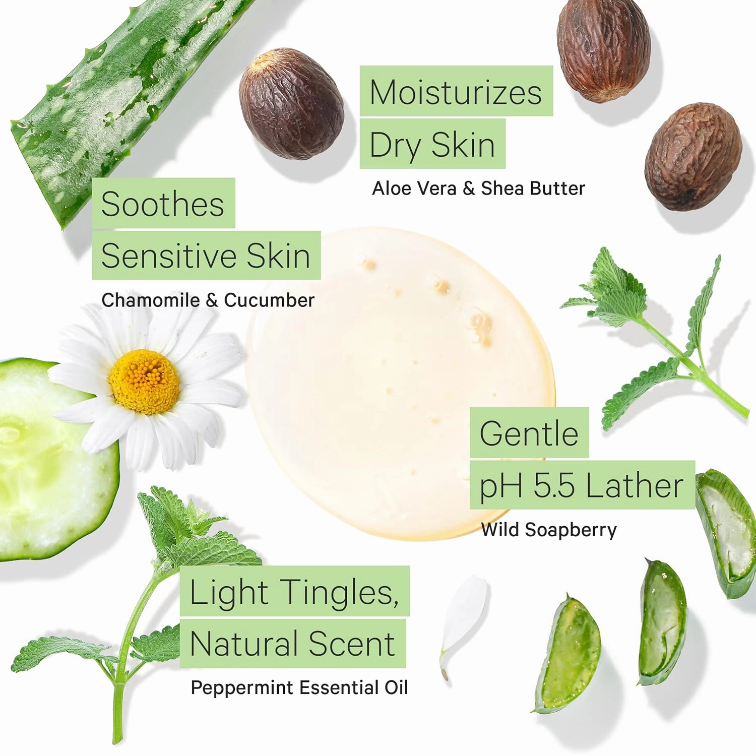Tree to Tub Peppermint Body Wash for Sensitive Skin and Dry Skin - pH Balanced, Hydrating, Sulfate Free, Vegan Body Soap with Organic Aloe Vera