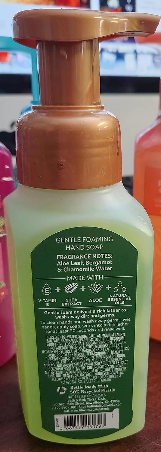 White Barn Candle Company Bath and Body Works Gentle Foaming Hand Soap - 8.75 fl oz - Many Scents! (Autumn Rainfall - Aloe Leaf Bergamot Chamomile)