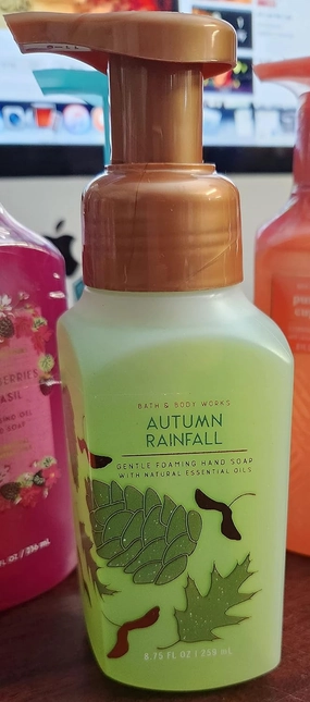 White Barn Candle Company Bath and Body Works Gentle Foaming Hand Soap - 8.75 fl oz - Many Scents! (Autumn Rainfall - Aloe Leaf Bergamot Chamomile)