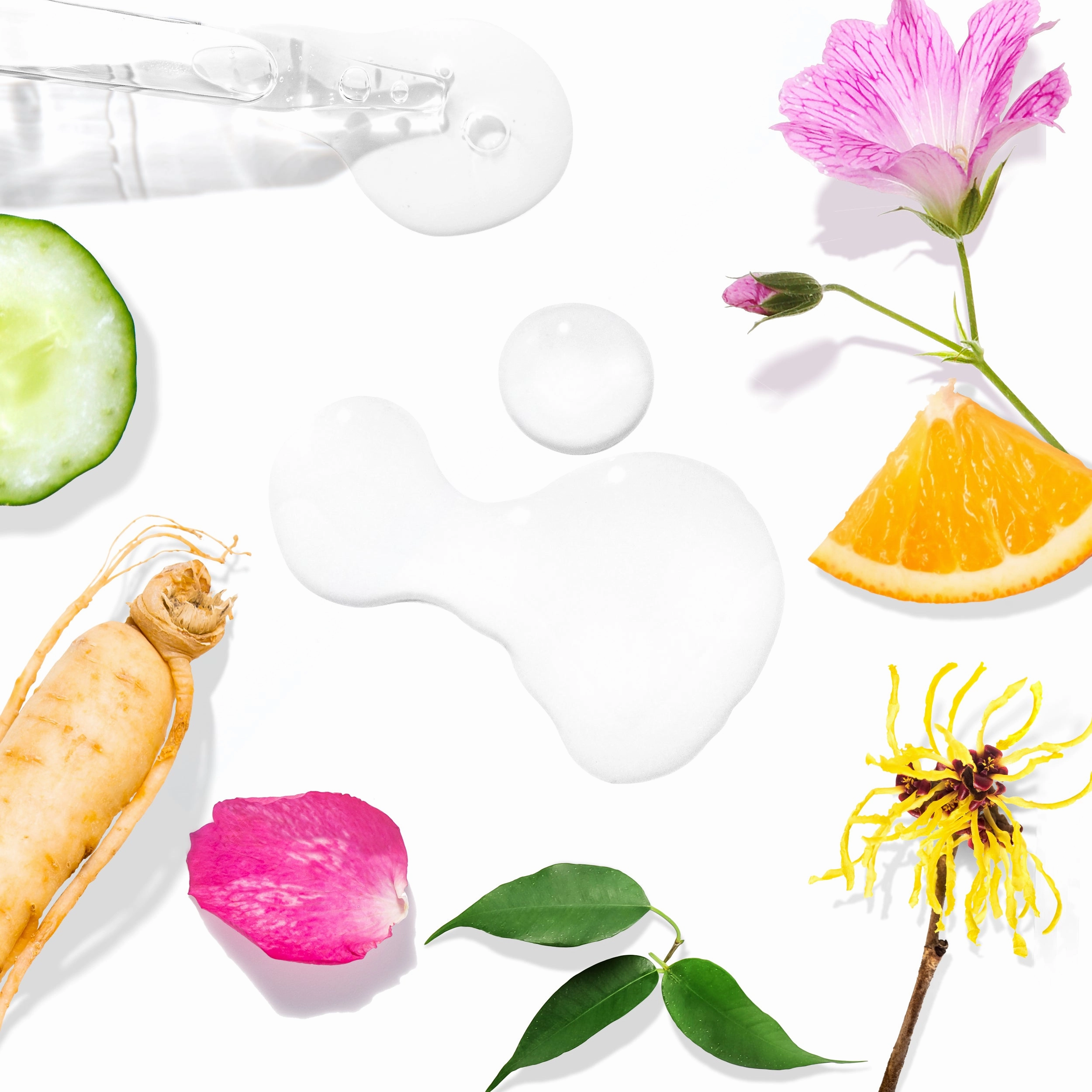 Witch Hazel Toner for Sensitive Skin with Green Tea & Ginseng